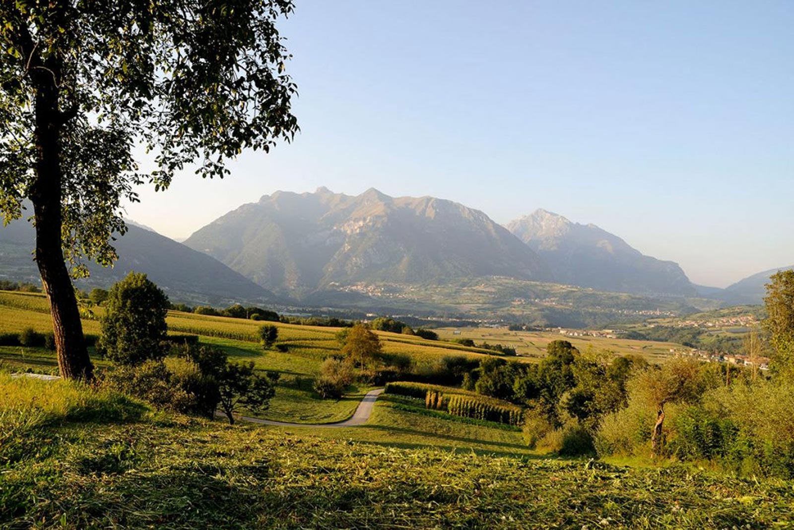 Vital Hotel Flora | © Foto Trentino Sviluppo - foto di B. Bolchi
