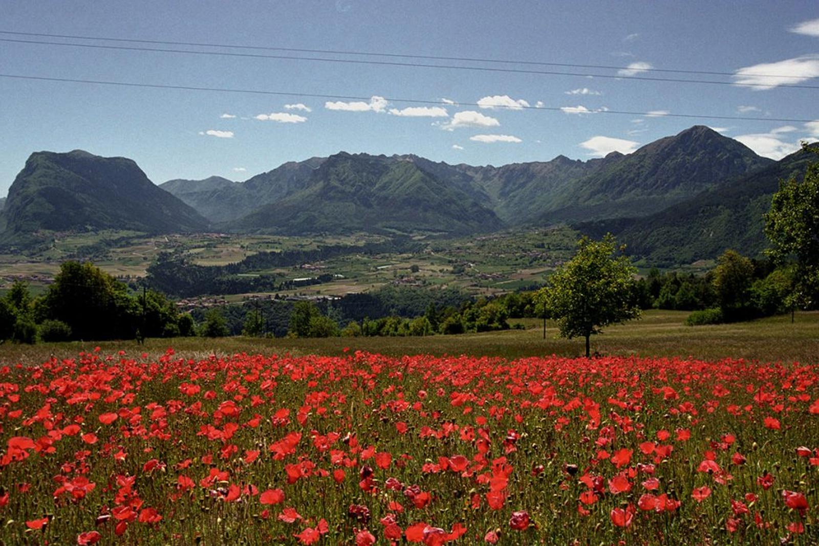 Vital Hotel Flora | © Foto Trentino Sviluppo - foto di L. Bosetti